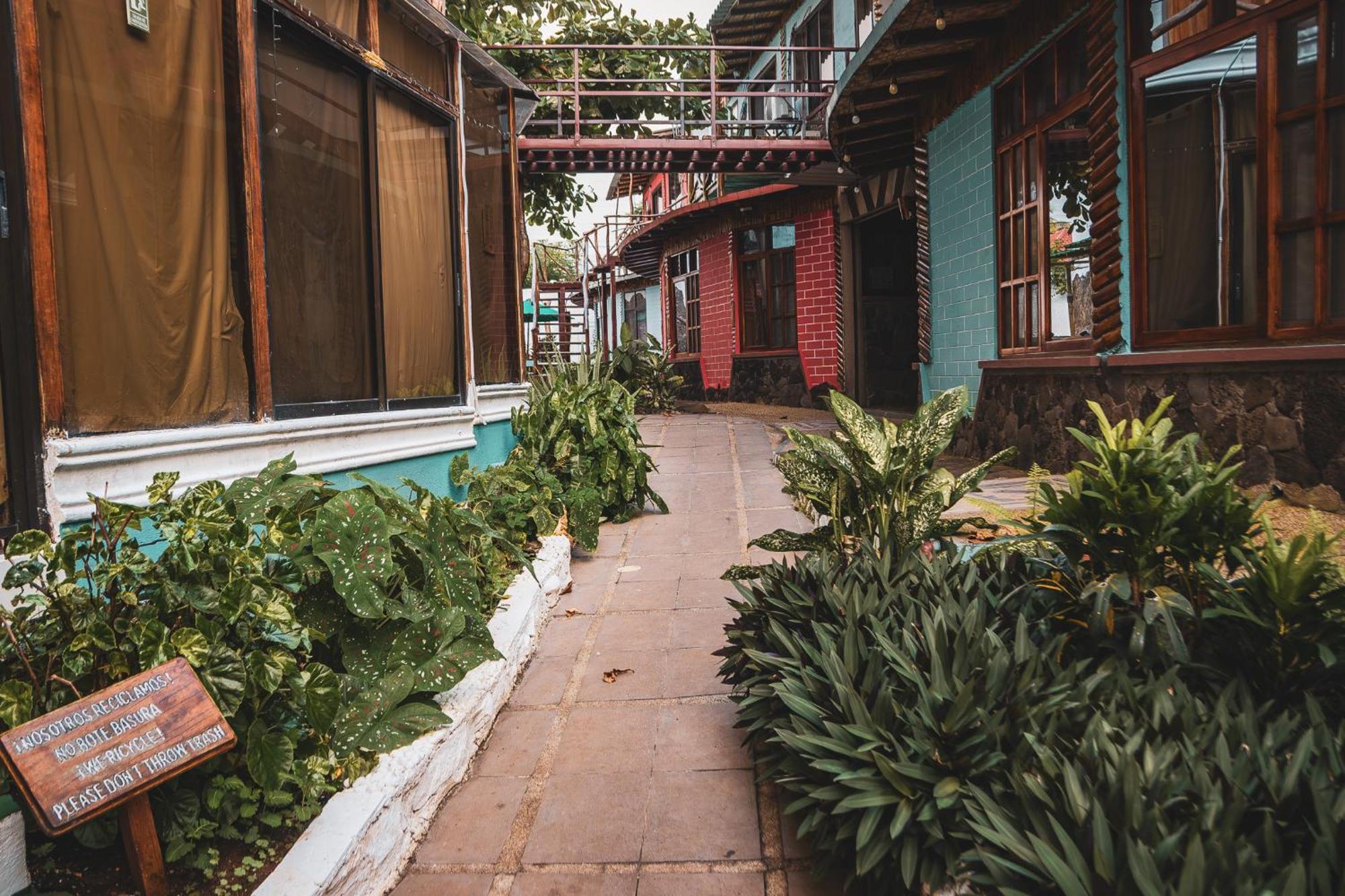 Hotel Miconia 巴克里索莫雷诺港 外观 照片